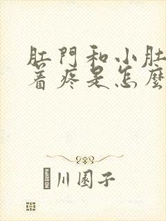 肛门和小肚子连着疼是怎么回事呢