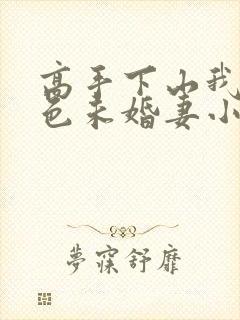 高手下山我的绝色未婚妻小说