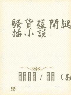 骚货张开腿让我插小说