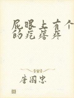 屁眼上有个硬硬的疙瘩疼