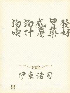 狗狗感冒发烧了吃什么药好得快