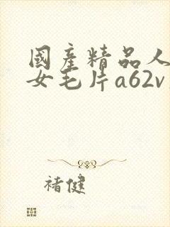 国产精品人妻熟女毛片a62v久久