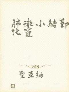 肺微小结节小钙化灶