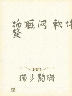 物联网 软件开发封面