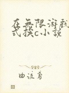 在无限游戏里花式挨c小说封面