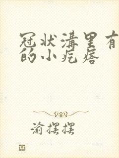 冠状沟里有白色的小疙瘩