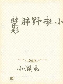 双肺野微小结节影