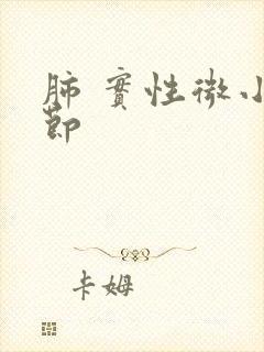 肺 实性微小结节封面