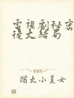 电视剧秘密的背后大结局封面