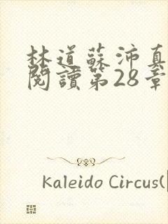 林道苏沛真全文阅读第28章封面