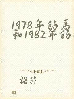 1978年的马和1982年的狗结婚好吗封面