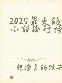 2025最火的小说排行榜前十名