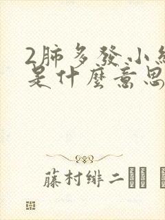 2肺多发小结节是什么意思