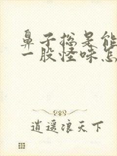 鼻子总是能闻到一股怪味怎么回事封面