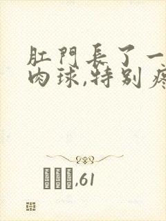 肛门长了一个硬肉球,特别疼