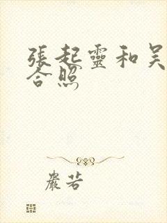 张起灵和吴邪的合照封面