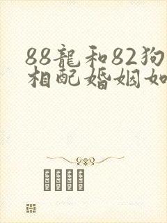88龙和82狗相配婚姻如何封面