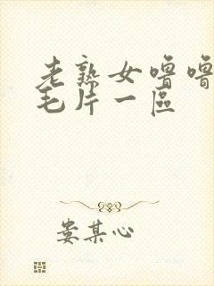 老熟女噜噜av毛片一区