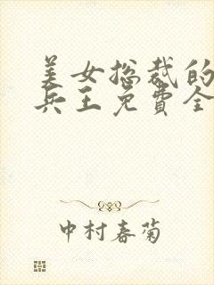 美女总裁的贴身兵王免费全文阅读