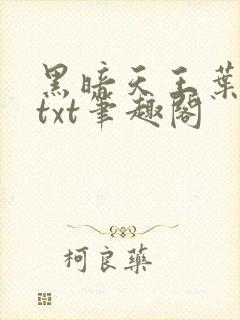 黑暗天王叶凌天txt笔趣阁