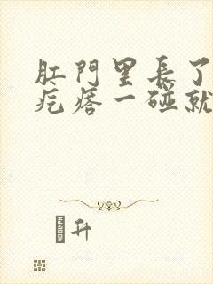 肛门里长了个硬疙瘩一碰就疼