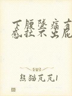 下腹坠痛有排便感拉不出屁多