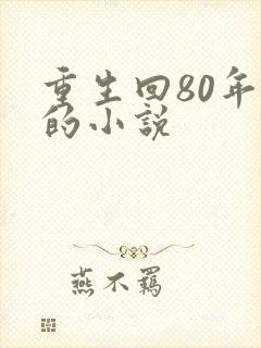 重生回80年代的小说