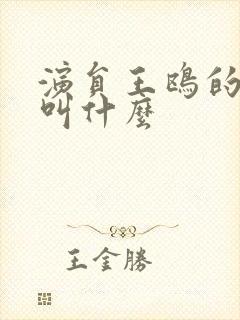 演员王鸥的丈夫叫什么