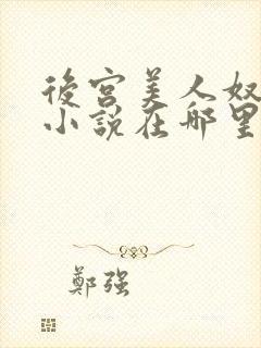 后宫美人奴原著小说在哪里看