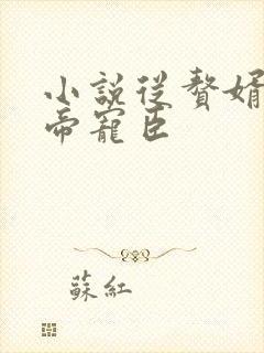 小说从赘婿到女帝宠臣