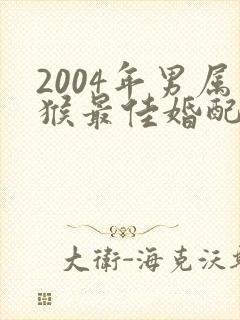 2004年男属猴最佳婚配属相