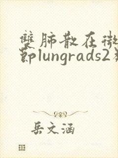 双肺散在微小结节lungrads2类
