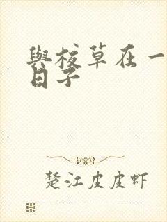 与校草在一起的日子