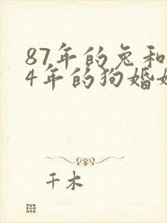 87年的兔和94年的狗婚姻如何