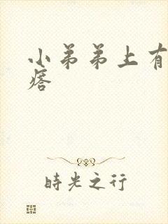 小弟弟上有肉疙瘩封面