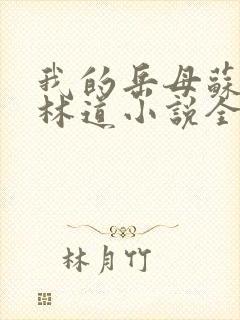 我的岳母苏沛真林道小说全文