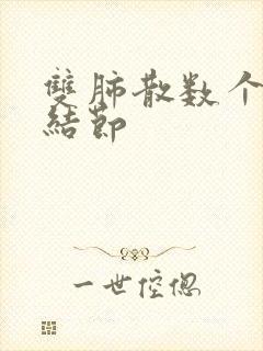 双肺散数个微小结节