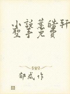 小说叶皓轩妙医圣手免费