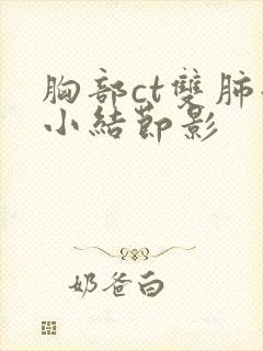 胸部ct双肺微小结节影