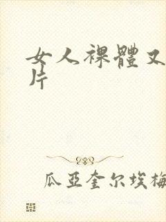 女人裸体又户黄片封面