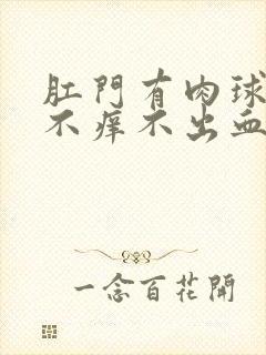 肛门有肉球不痛不痒不出血