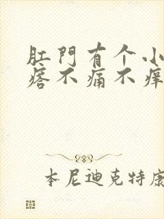 肛门有个小硬疙瘩不痛不痒封面