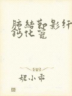 肺结节影纤维灶钙化灶