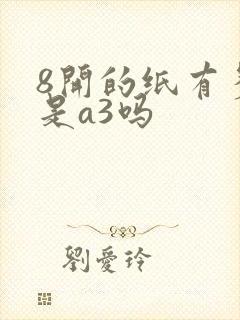 8开的纸有多大是a3吗