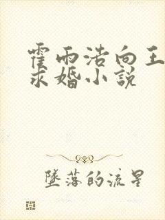 霍雨浩向王秋儿求婚小说