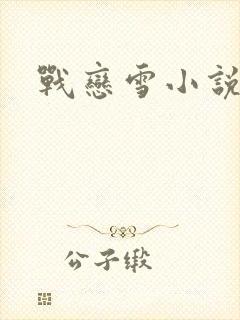 战恋雪小说封面