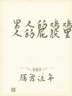 男人的鸡鸡插女人的屁股里