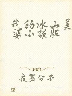 我的冰山美女老婆小说版封面