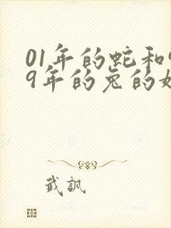 01年的蛇和99年的兔的婚姻
