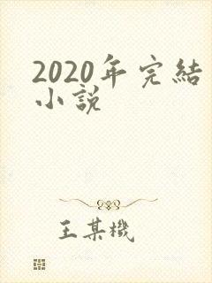 2020年完结小说